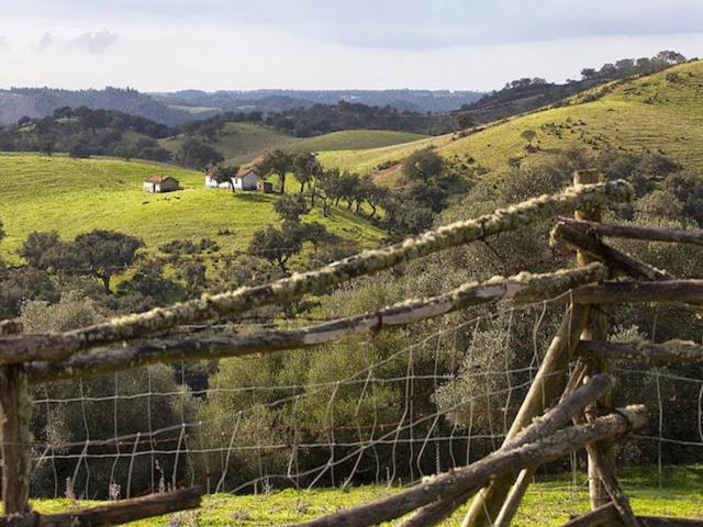 Monte Da Gravita Ribeira do Salto Zewnętrze zdjęcie